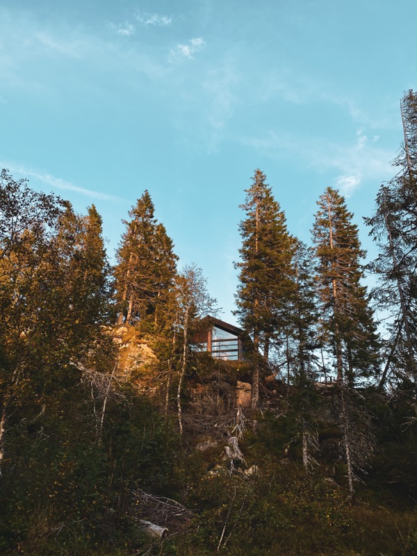 Modern wooden cabin surrounded by lush green trees in Norway